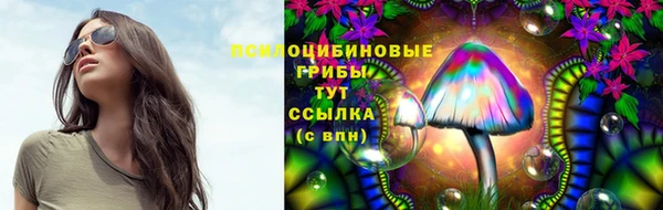 трава Вязьма