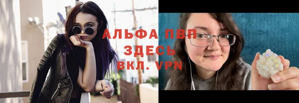стаф Абинск