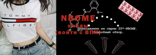 прущий лед Вяземский