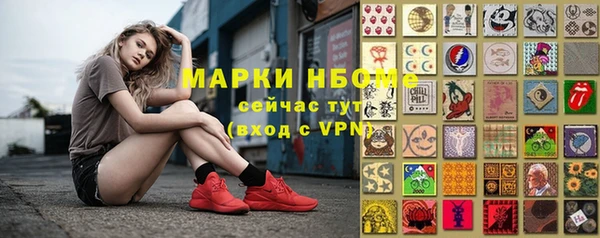 стаф Абинск