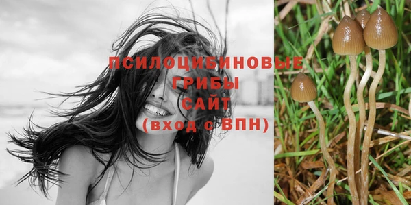 экстази Алексеевка