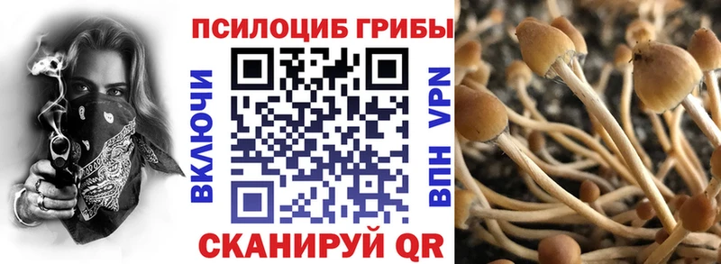 сколько стоит  Елизово  Псилоцибиновые грибы мухоморы 