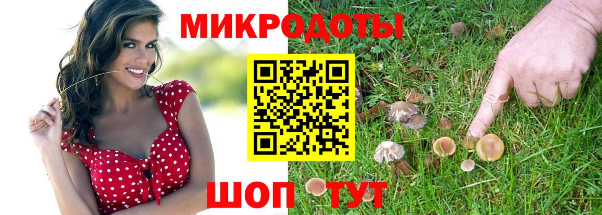 Псилоцибиновые грибы Magic Shrooms Елизово