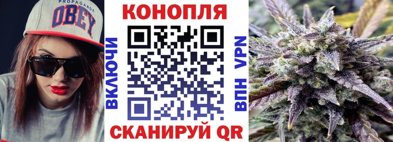 МАРИХУАНА гибрид  магазин продажи   ОМГ ОМГ сайт  Елизово 