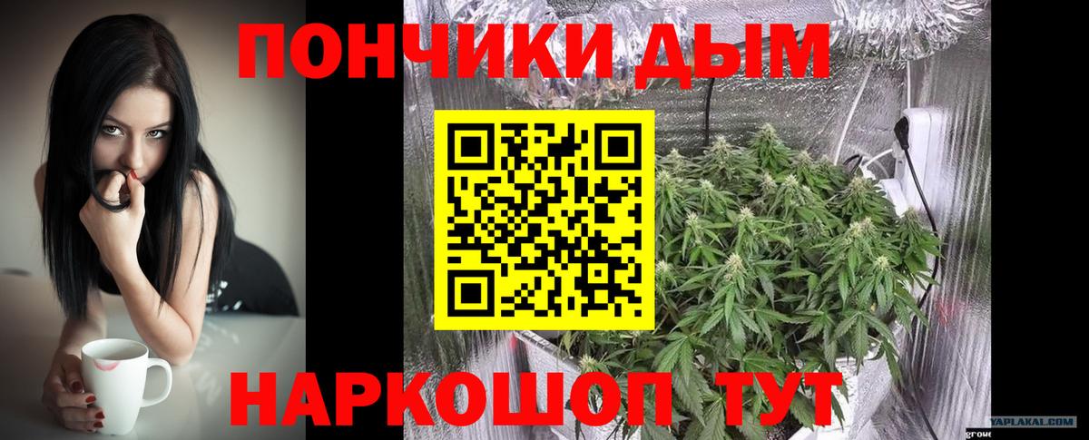 Каннабис индика Елизово